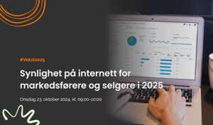 241023 Synlighet på internett Cover PDF