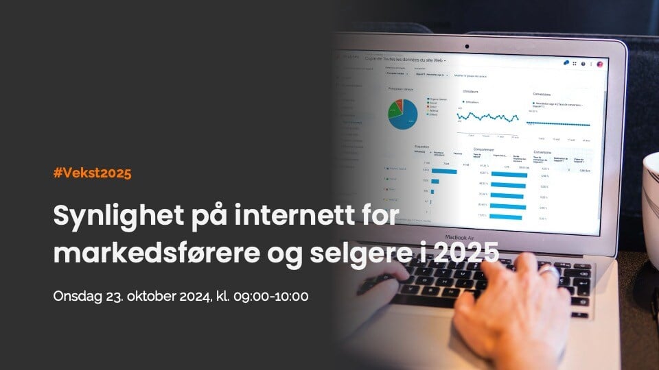 241023 Synlighet på internett Google_førsteutkast ppt