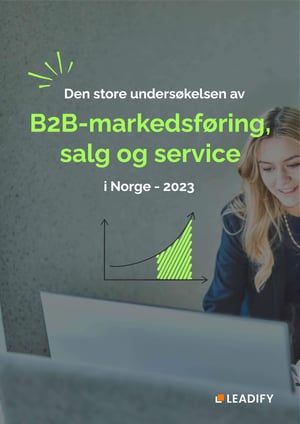 Rapport: B2B-markedsføring, salg og service